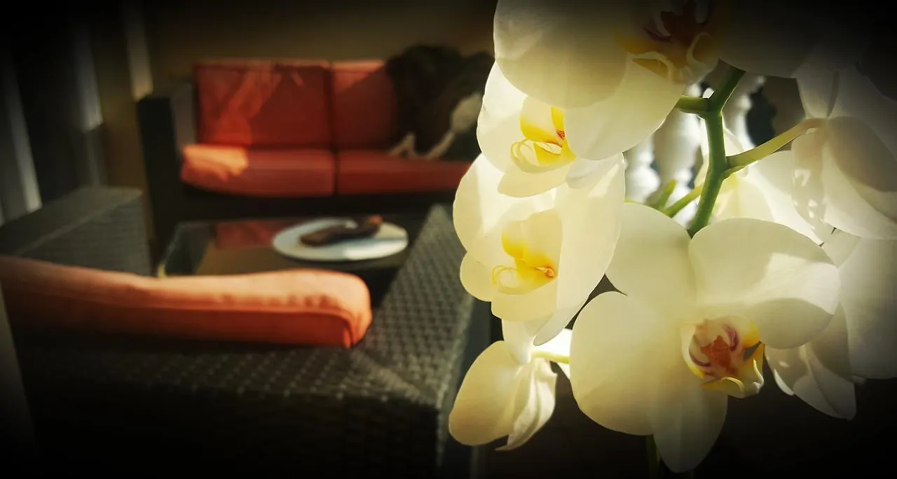 Palma Guesthouse Palit 3*,
